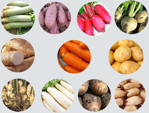 Tuyệt vời khoai lang máy giặt khoai tây máy giặt & Peeler khoai lang máy giặt và Peeler máy - Product Image 5