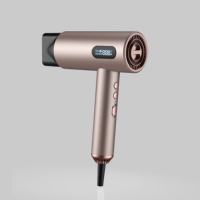 Sèche-cheveux professionnel 1600W avec moteur BLDC et technologie ionique, design élégant pour la maison, idéal pour les soins capillaires féminins.