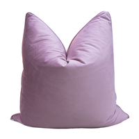 Housse de coussin en velours uni, décorative pour la maison, l'hôtel, le salon