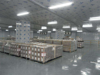 Cámara Frigorífica Industrial para Almacenamiento de Alimentos Congelados, Cuarto Frío a Gran Escala
