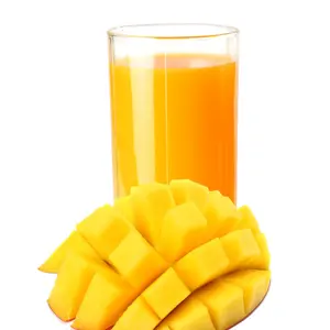 Produits les plus vendus Poudre de mangue lyophilisée Poudre de jus de mangue Boisson à forte saveur