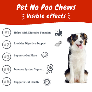 Masticables Suaves para Perros No Mo Poo con Probióticos, Enzimas Digestivas, Disuasor de la Ingesta de Excrementos, Vitaminas, Salud Intestinal, Absorción Rápida, Seguro para Perros - Product Image 3