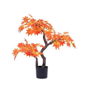 Decoration for indoo&outdoor Used and Trees Plant Type red maple tree 5901