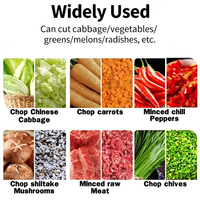 Trituradora de Vegetales para Coleslaw y Salsa Farm Stand, 3500W, CE, Acero Inoxidable 304, USA