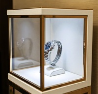 GZowin Armoire à bijoux portable, légère, durable et écologique avec dimensions personnalisables pour l'affichage en magasin