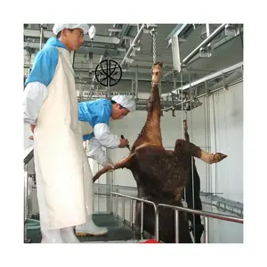 Halal Professional Cattle Lives tock Schlachthof maschinen Cattle Lifting Desc ending Hoist Machine für Beef Hanging Rail