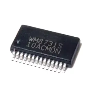 WM8731SEDS/RV Original SSOP-28 Interface IC Chips WM8731 WM8731S WM8731SEDS WM8731SEDS/RV