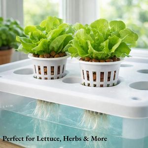 Manufacturer L-size New Product Promotional PP <b>Plastic</b> Laundry <b>Basket</b> - Product Image 2