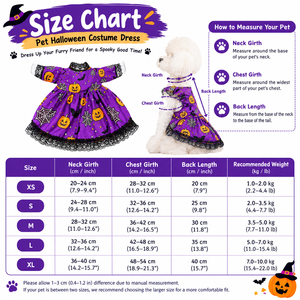 Halloween-Kostümset für Haustiere: Spinnen-Hexen-Outfit, Lila Kürbiskleid mit Hut & Spinnen-Accessoire, Halloween-Cosplay TV- & Film-Kostümrequisiten - Product Image 6