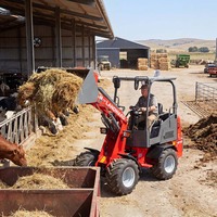 Europäischer Verkaufsschlager: Neuer 4-Rad-Kompakt-Minilader, Landwirtschaftlicher Hoftransporter, CE Euro 5 Diesel-Lader mit Schaufel