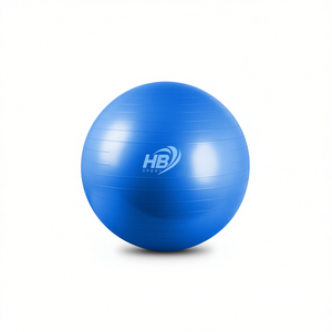 Pelota de Yoga Lisa de 85 cm y 1000 g, Categoría de Producto - Product Image 1