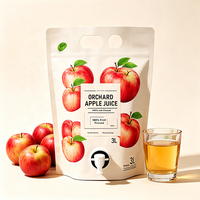 Pochettes souples à bec verseur pour jus de pomme 1L 3L 5L – Emballage alimentaire pour boissons liquides, rechargeables, personnalisables, OEM