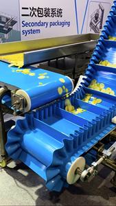 Dibuat di Cina 2025 harga pabrik <span class=keywords><strong>Food</strong></span> <span class=keywords><strong>Grade</strong></span> POM PP sabuk Modular dengan cleat untuk konveyor miring - Product Image 5