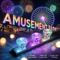 Luces LED de Píxeles OEM RGBW Omnidireccionales de 360 Grados, Direccionables UCS2904, IP66, 60 mm, DC24V, para Atracciones de Feria, Parques Temáticos
