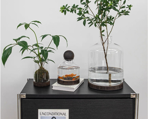 Grand <span class=keywords><strong>bocal</strong></span> rond en verre pour <span class=keywords><strong>terrarium</strong></span> avec couvercle en forme de boule en bois et base en bois pour plantes, écosystème, décoration d'intérieur, jardin, bricolage, artisanat - Product Image 4
