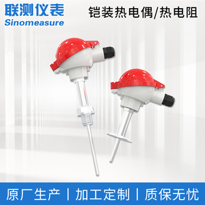 เซ็นเซอร์วัดอุณหภูมิแบบมีเกราะป้องกัน Sinomeasure รุ่น WZP-230 เทอร์โมคัปเปิลชนิด K Pt100 แบบเกลียว - Product Image 5