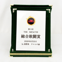 Boîte en velours pliable verte avec plaque dorée ou argentée pour certificat MH-LJ0355