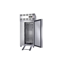 Congélateur à choc commercial de petite taille -45°C ° Armoire de congélation rapide pour la conservation des aliments surgelés et des boulettes de fruits de mer