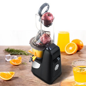 Extracteur de jus lent commercial de haute qualité pour fruits et smoothies, idéal pour la vente en gros - Product Image 2