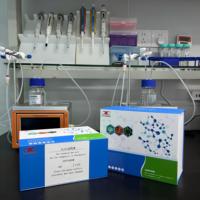 Kit de recherche ELISA pour l'alpha-amylase salivaire humaine (sAA)