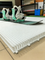 Tapis d'entraînement sur piste sèche Enoki Mushroom PP 100 cm pour le ski et le snowboard en intérieur