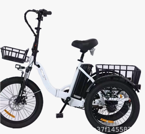 <span class=keywords><strong>Tricycle</strong></span> Électrique <span class=keywords><strong>Tout</strong></span>-<span class=keywords><strong>Terrain</strong></span> Robuste à Pneus Larges pour Adultes - Prix Usine - 7 Vitesses, Moteur Puissant, Transport de Marchandises - Product Image 1