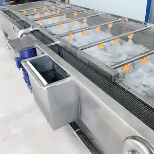 Máquina automática de lavar bolhas de ar para frutas e vegetais, lavadora automática de limpeza de batatas doces, cebola e tomate, limão, amendoim, manga e morango