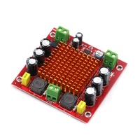 XH-M544 DC 12V 24V 150W TPA3116DA amplificateur de puissance numérique à canal unique, carte d'ampli avec préamplificateur