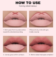Paquet rose 2 en 1 Lipliner et rouge à lèvres liquide mat Logo privé