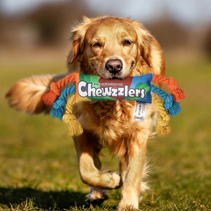 Juguete de Cuerda de Algodón Resistente a Mordidas para Perros, con Nudo, para Entrenamiento de Cachorros, Juguete Interactivo para Jalar, Juguetes Chirriantes para Mascotas - Product Image 1