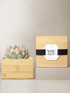 <span class=keywords><strong>Cactus</strong></span>-<span class=keywords><strong>Arbre</strong></span> d'intérieur pour <span class=keywords><strong>chat</strong></span>, simulation de plante succulente, mini bambou, fournitures de jardin - Product Image 2