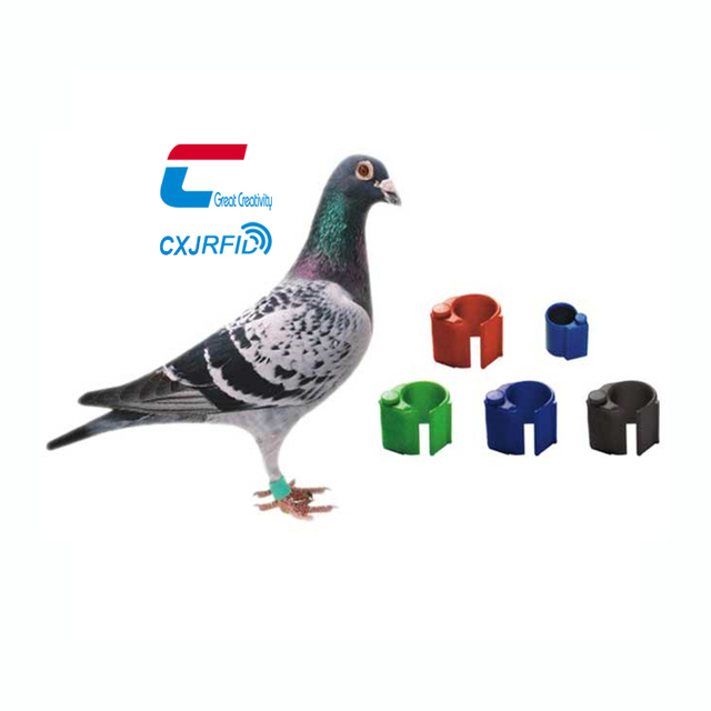 125khz TK4100 Chip Benzing Racing Pigeon Rings 134khz EM4305/T5577 Rfid Pigeon Ring Personalize Pigeon Chip Rings