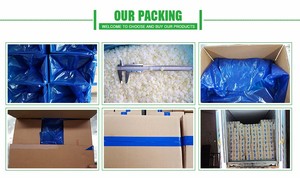 Atık Olmayan Dondurulmuş Dilimlenmiş Soğan, IQF, Tazeliği Korur, Burger, Salata ve Restoran Tedariği İçin - Product Image 5