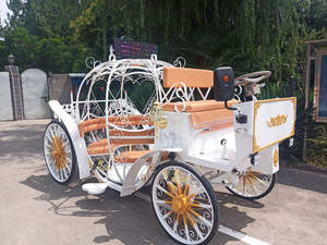 Chariot de tourisme électrique en forme de citrouille à faible consommation d'énergie, fourni directement par l'usine - Product Image 1