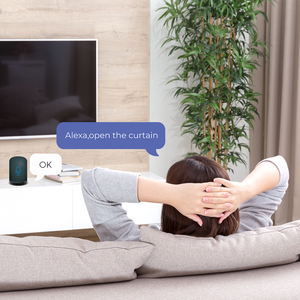 Robot Rèm Cửa Thông Minh Có Động Cơ, Robot Rèm Cửa Thông Minh Điều Khiển Từ Xa Không Dây Dễ Dàng Nhất - Product Image 4