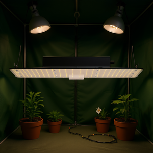 Lampe de culture LED pour plantes d'intérieur 200W, spectre complet, puces Samsung, pour tente de culture 2x4 3x3 pieds - Product Image 2