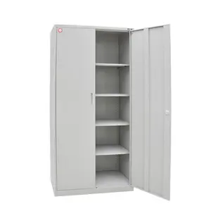 2 Swing Door Cabinet Customized Sample Cheap in Office Use Price Office Furniture Steel Furniture Customized Sample