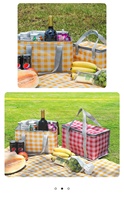 Panier de pique-nique pliable à motif à carreaux pour l'extérieur, avec film en aluminium, imperméable, portable, boîte isotherme 15L