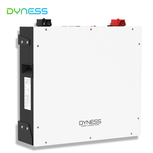 Batería Dyness DL5.0c 5kWh <span class=keywords><strong>Powerwall</strong></span> 51,2 V 100Ah Batería de iones de litio Batería ESS montada en la pared para sistema de energía solar doméstico - Product Image 3
