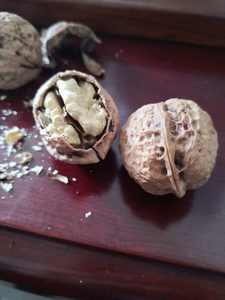 <span class=keywords><strong>Secadora</strong></span> Industrial <span class=keywords><strong>de</strong></span> <span class=keywords><strong>Bomba</strong></span> <span class=keywords><strong>de</strong></span> <span class=keywords><strong>Calor</strong></span> <span class=keywords><strong>de</strong></span> Secado Rápido, Deshidratador <span class=keywords><strong>de</strong></span> Aire Caliente para Nueces, Cacahuates, Anacardos, Granos <span class=keywords><strong>de</strong></span> Café, Máquina <span class=keywords><strong>de</strong></span> Secado <span class=keywords><strong>de</strong></span> Snacks <span class=keywords><strong>de</strong></span> Frutos Secos 100-1800kg - Product Image 5