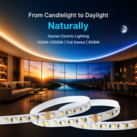 Nouvelle bande LED RGBW 4 couleurs en 1 (1200K-12000K) 96 LED/m, forme S colorée, simulation de lumière solaire
