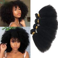 Lots de Cheveux Humains Afro Crépus Bouclés 9A en Gros, 8-22 Pouces, 100% Cheveux Humains Vierges, Tissage Teintable, Sans Perte, Sans Nœuds