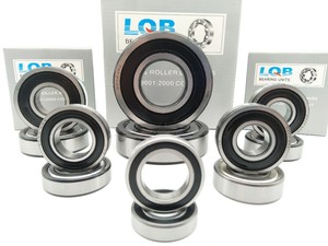 Rodamientos Rígidos de Bolas de Ranura Profunda de Una Hilera 6004 6204 6304, Diámetro <span class=keywords><strong>Interior</strong></span> de 20 mm, Holgura C4, Acero Cromado, Precisión P6 con Grasa - Product Image 6