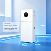 Modul Baterai Penyimpanan Tenaga Surya LiFePO4 8000+ Siklus Hidup 51.2V 314Ah 16KWH, Dapat Ditumpuk, Cadangan Rumah, Pabrik Langsung OEM/ODM, CE IP66
