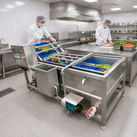 Nieuwe design groentewasmachine fruitwasser luchtbellen industriële SUS304 voor groenteverwerkingsbedrijven