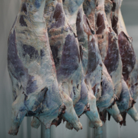 Ligne d'abattage automatique de bovins Halal à haut rendement Machine d'abattage automatique de bovins