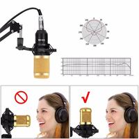 Microphone à condensateur cardioïde BM 800, filaire, connecteur XLR, construction en métal et plastique, bras antichoc, support en ciseaux, filtre anti-pop