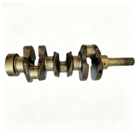 Vilebrequin en fonte pour moteur diesel Kubota D1005 1G06723013