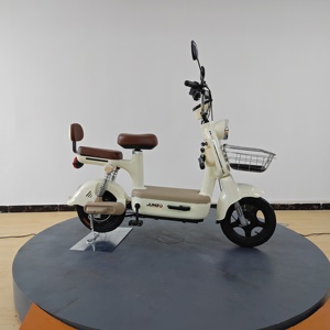 แบตเตอรี่ตะกั่วกรด 48V 20Ah สำหรับขายส่งแบบ OEM มอเตอร์ไร้แปรงถ่าน 48V350W สำหรับรถมอเตอร์ไซค์ไฟฟ้า ระยะทางวิ่ง 45-55 กม. ความเร็ว 31 กม./ชม. - Product Image 6