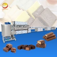 ORME Automatische Band Fruitcoatingmachine Halve Chocolade Enroberlijn voor Energie Repen